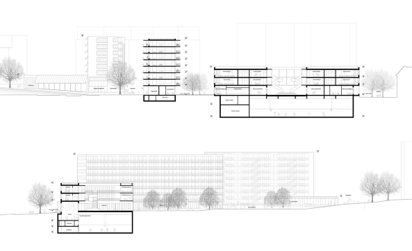 Schweiz, Zrich, Guggach, Wohnungsbau, Schulbau, Wettbewerb, Donet Schfer Architekten, Tanja Reimer, Weyell Zipse Architekten, Atelier Loidl Landschaftsarchitekten