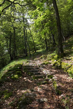 Tour 8: Via Salina (Wallis)