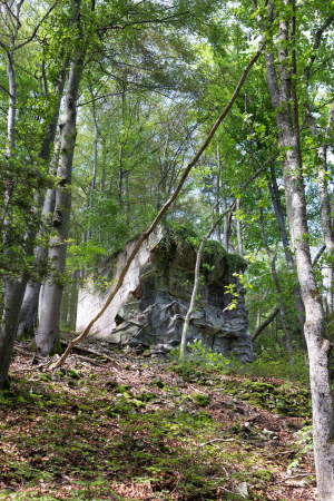 Tour 15: Belchensdstrae (Basel-Land und Solothurn)