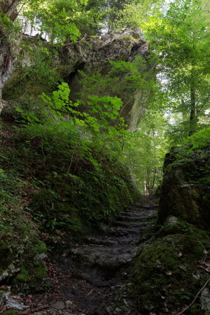 Tour 27: Alter Brnigweg (Obwalden und Bern)