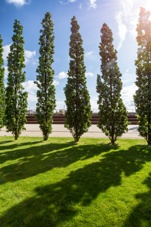 Lohsepark in Hamburg von Vogt Landschaftsarchitekten
