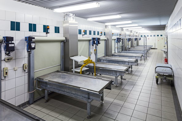 Pathologie in der Leichenhalle, 2012