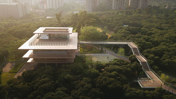 Die Xiangmi Park Science Library von MLA+ liegt inmitten eines bewaldeten Parks in Shenzhen.