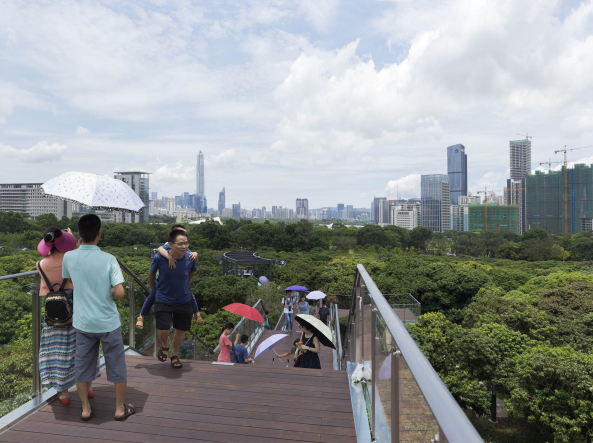 Bibliothek in Shenzhen von MLA+