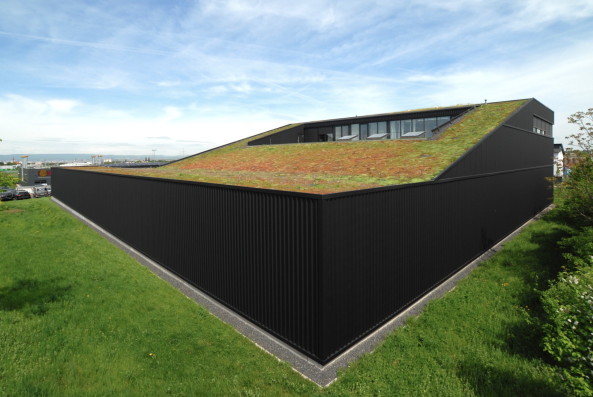 Ausgezeichnet: Dachbegrünung Dachland Firmensitz in Mainz von Schoyerer Architekten_SYRA