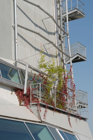 Werkstattgeb�ude in Graz von Michael Wallraff