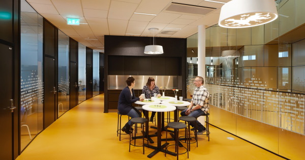 Rathaus in Lappland von Henning Larsen