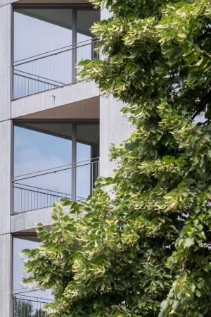 Wohnhaus in Berlin von roedig.schop und sieglundalbert architekten