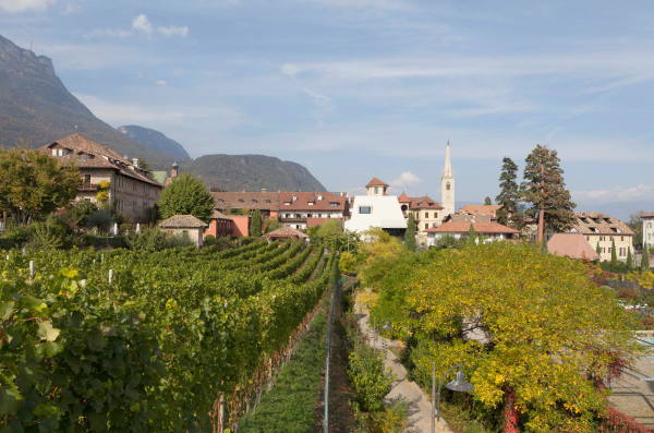 Bibliothek von Schiefer Tschoell und Walter Angonese