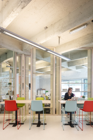 Broumbau von ZAmpone in Brssel