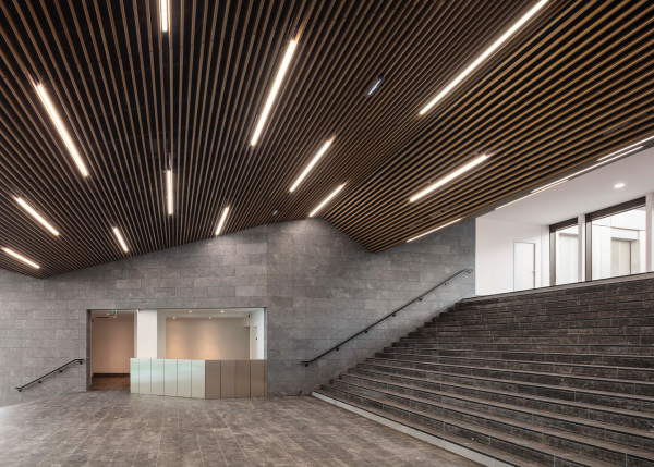 Brohaus von Baumschlager Eberle in Paris