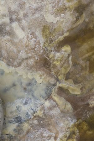 Venedig: Zu Besuch im Deutschen Pavillon