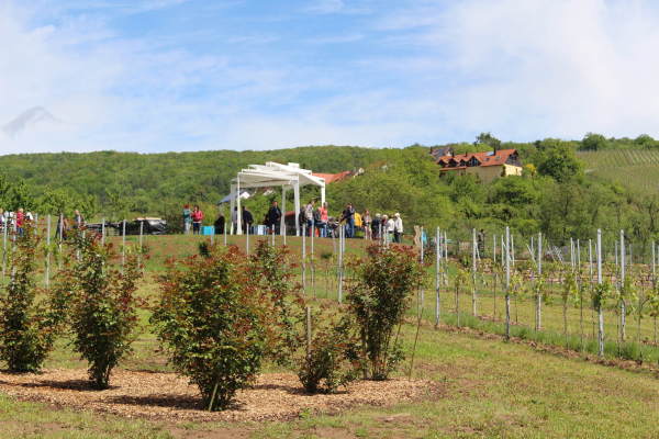 Station 10: Der Rosenpavillon von Schulz und Schulz (Leipzig) steht in Remshalden.