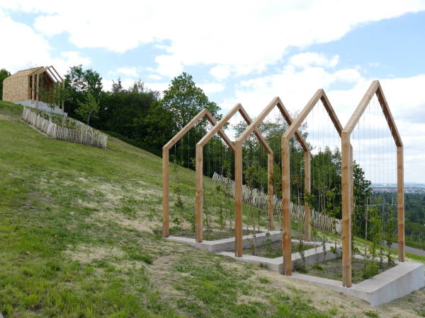 Neben Ausblicken in die Landschaft gibts auch einen Pfl�ckgarten mit frischen Erzeugnissen zum Genie�en.