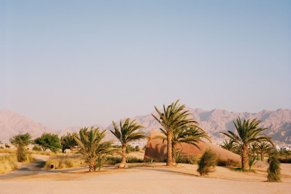Sanddne unter Palmen: Das Clubhaus fr Jordaniens ersten Golfplatz auf Rasen.