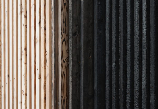 Detail des bergangs von unbehandelt zu behandelter Lrchenholz Oberflche.