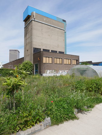 Das Areal von Atelier van Lieshout im Westen von Rotterdam heute.