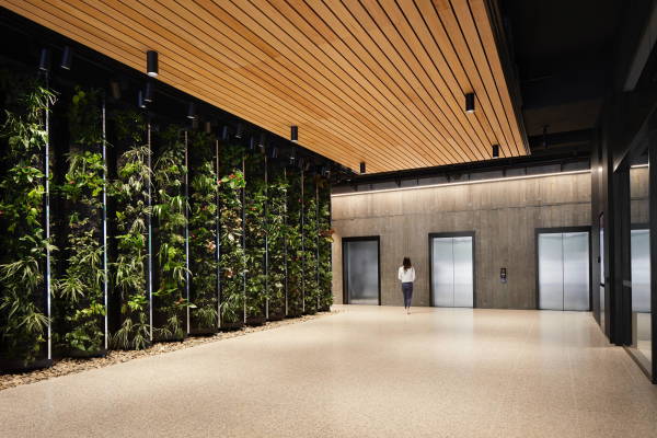 Holzhochhaus in Brisbane von Bates Smart