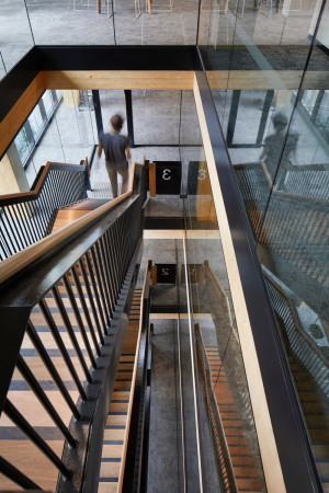 Holzhochhaus in Brisbane von Bates Smart