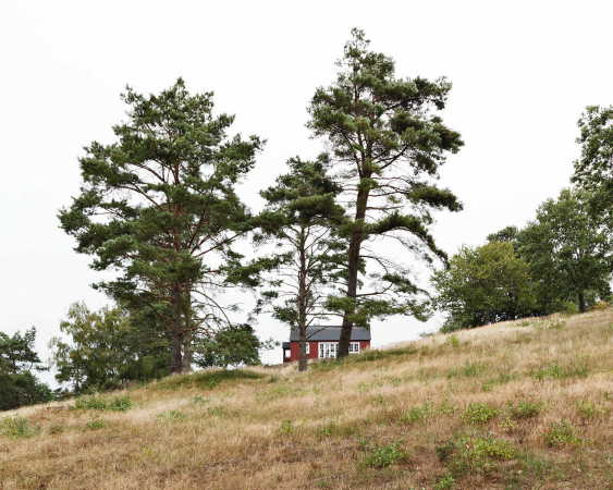 Sanierung einer Holzh�tte von Johansen Skovsted Arkitekter