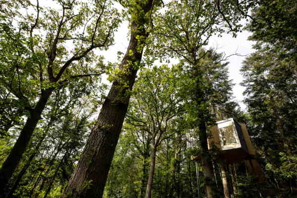 Baumhaus von Sigurd Larsen in Dnemark