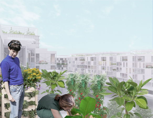 Gewinnerentwurf von Rogers Stirk Harbour + Partners