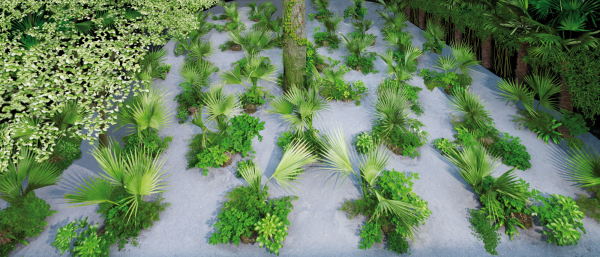 Palmeninseln im Garten von Tita Giese Pflanzenprojekte