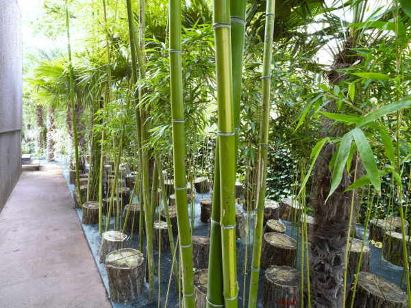 Villenumbau von J. Mayer H. und Partner