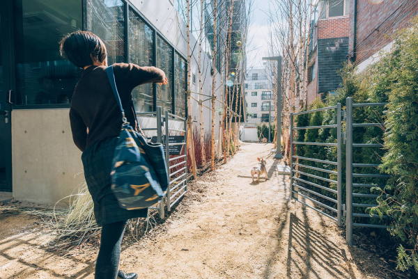 Co-Living in Seoul von Bo-DAA