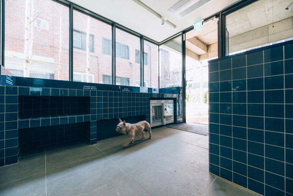 Co-Living in Seoul von Bo-DAA