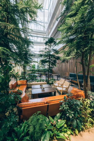 ... fhrt direkt in das begrnte Atrium.