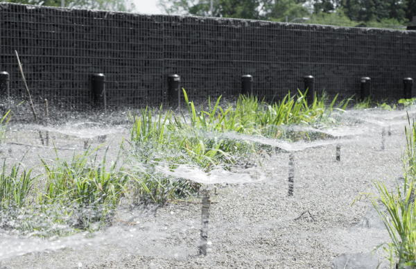 Eine Abfolge von Becken mit Sand und Steinf�llung filtert das Wasser.