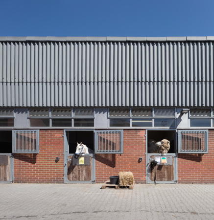 Auch Kamele passen gut in die Stallungen.