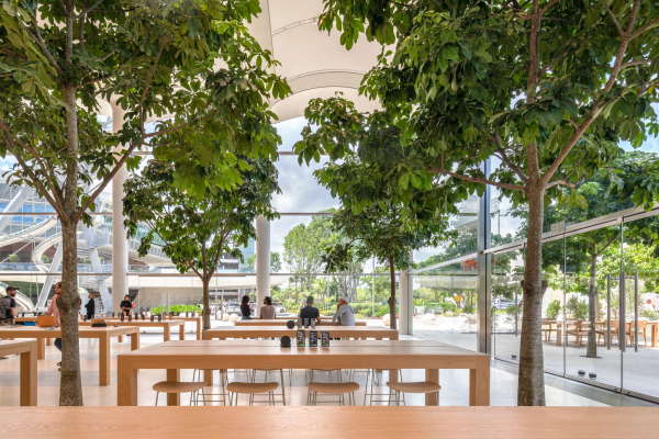 Apple Store von Foster + Partners in Miami