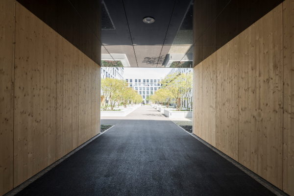 Wohnbebauung von weberbrunner und Soppelsa in Winterthur