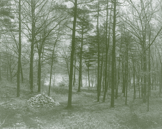 Grundstck des Htten-Idealisten Henry David Thoreau: Site of Thoreaus hut, Lake Walden, Concord, Mass., Library of Congress Prints and Photographs Division, 1908