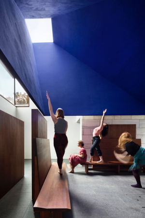 Center for the Advancement of Public Action, Bennington College, Bennington in Vermont, 2011