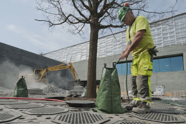 Innenhof im Fr�hjahr 2019