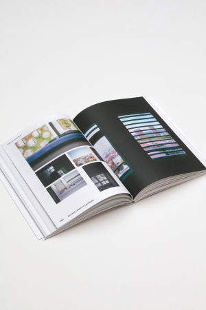 Eveline Schneider und Raffaella Endrizzi (Hg.), Lochergut. Ein Portrait, Quart, Luzern