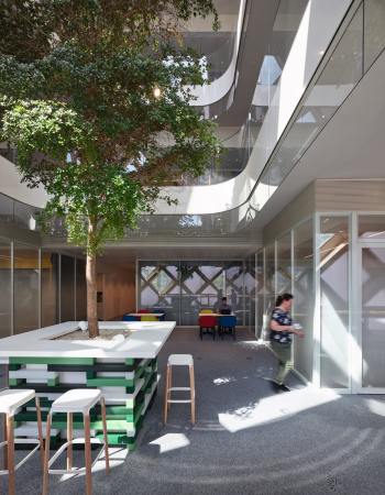 Swatch, Headquarter, Biel, Schweiz, Shigeru Ban, Omega, Factory, Cite du temps, Holz, Architektur, Blob