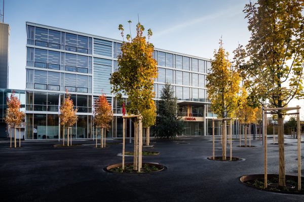 Die 1997 er�ffnete Fabrik f�r Omega, ebenfalls von Shigeru Ban.