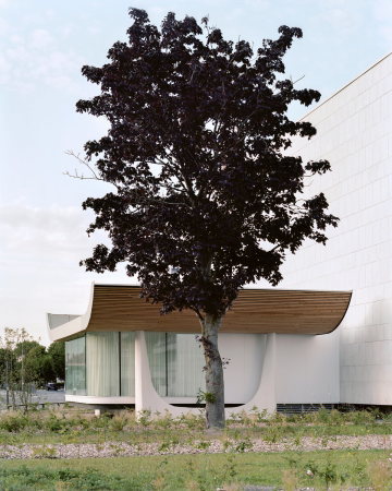 D�Houndt + Bajart verwandeln Museum in Bibliothek