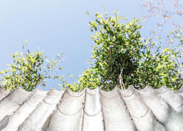 Panda-Anlage von BIG im Zoo Kopenhagen