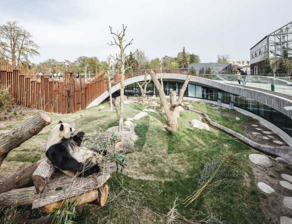 Panda-Anlage von BIG im Zoo Kopenhagen