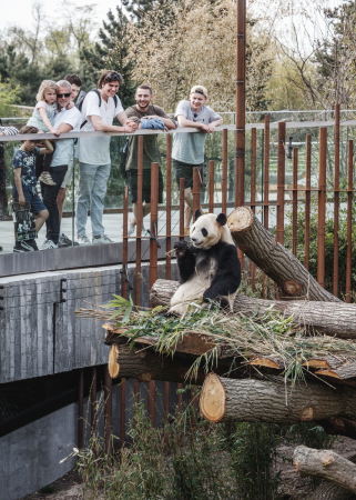 Panda-Anlage von BIG im Zoo Kopenhagen
