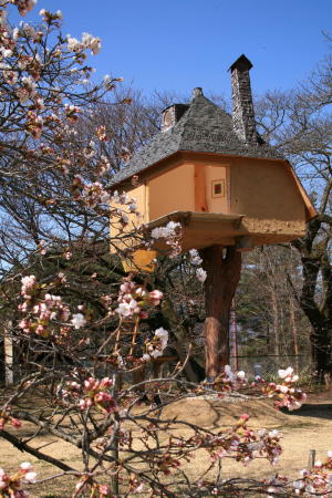 Tetsu Teahouse, Hokuto, Japan, 2009