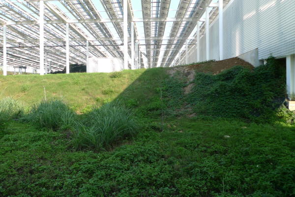 Philippe Rahm architectes und Mosbach paysagistes in Taichung