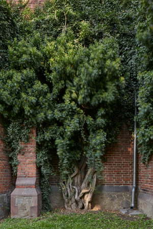 Renovierung von Atelier38 in Tschechien