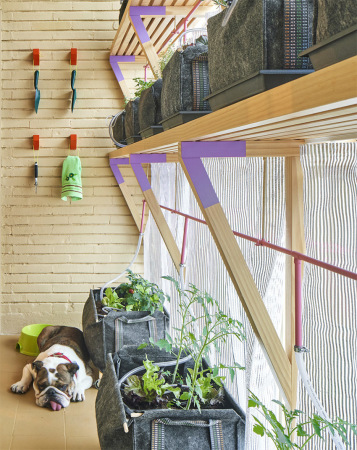 Auf dem Balkon wurde ein vertikaler Gemüsegarten eingerichtet.