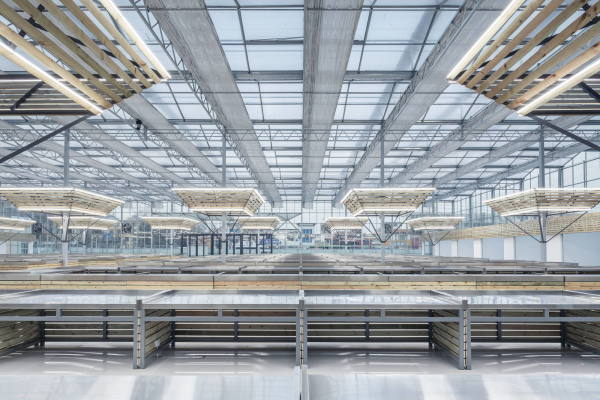 Temporre Markthalle von LUO Studio in Puyang